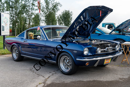 1966 Ford Mustang Nashville Cars and Coffee July 2026 Custom Design Piece #252