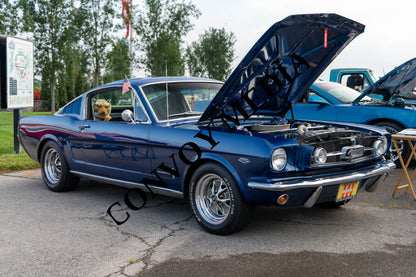 1966 Ford Mustang Nashville Cars and Coffee July 2026 Custom Design Piece #252