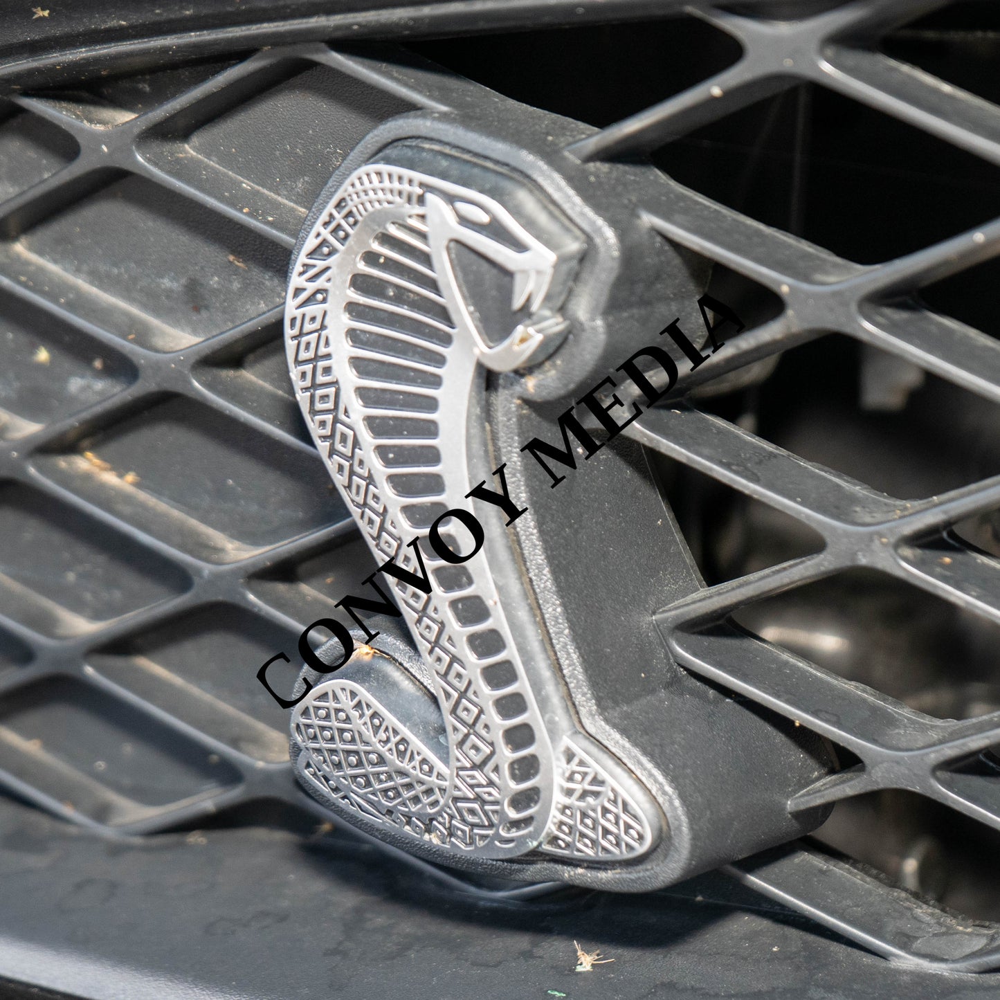 Ford Mustang Shelby GT500 Nashville Cars and Coffee July 2026 Custom Design Piece #69
